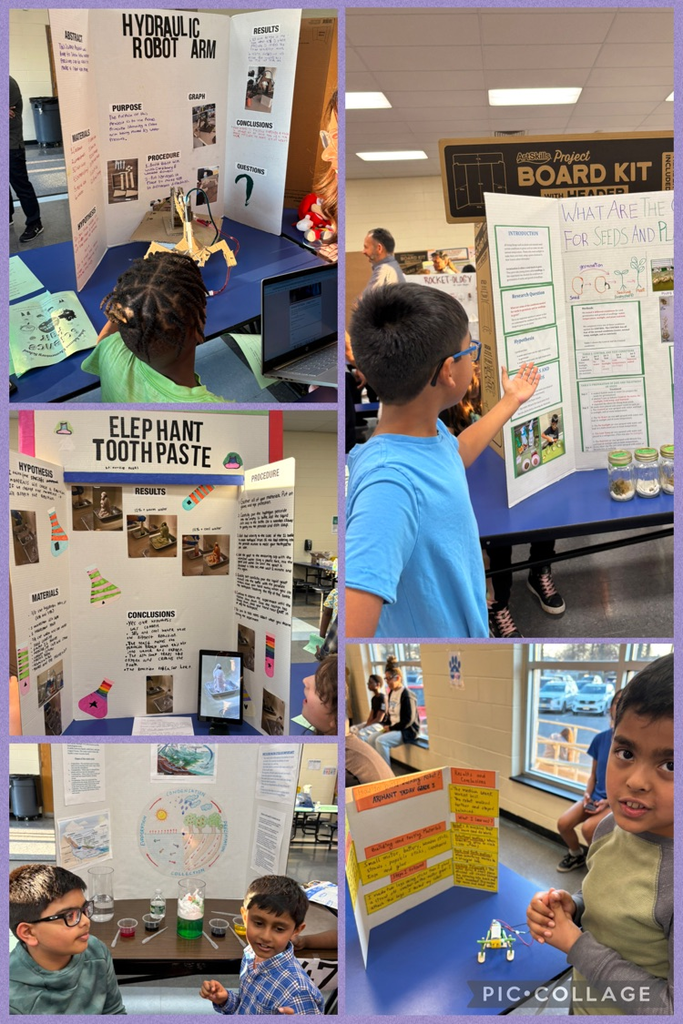 Students presenting science fair projects