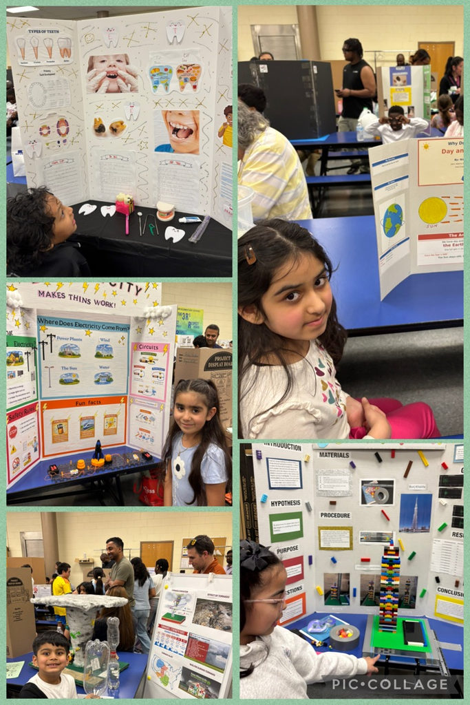 Students presenting science fair projects