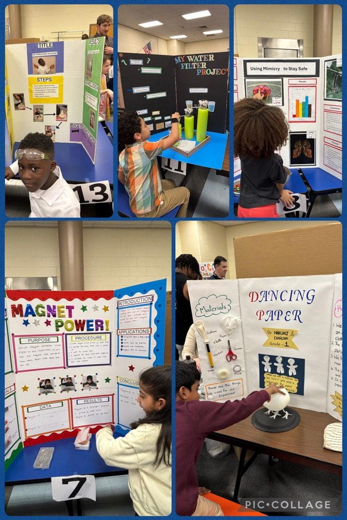 Students presenting science fair projects