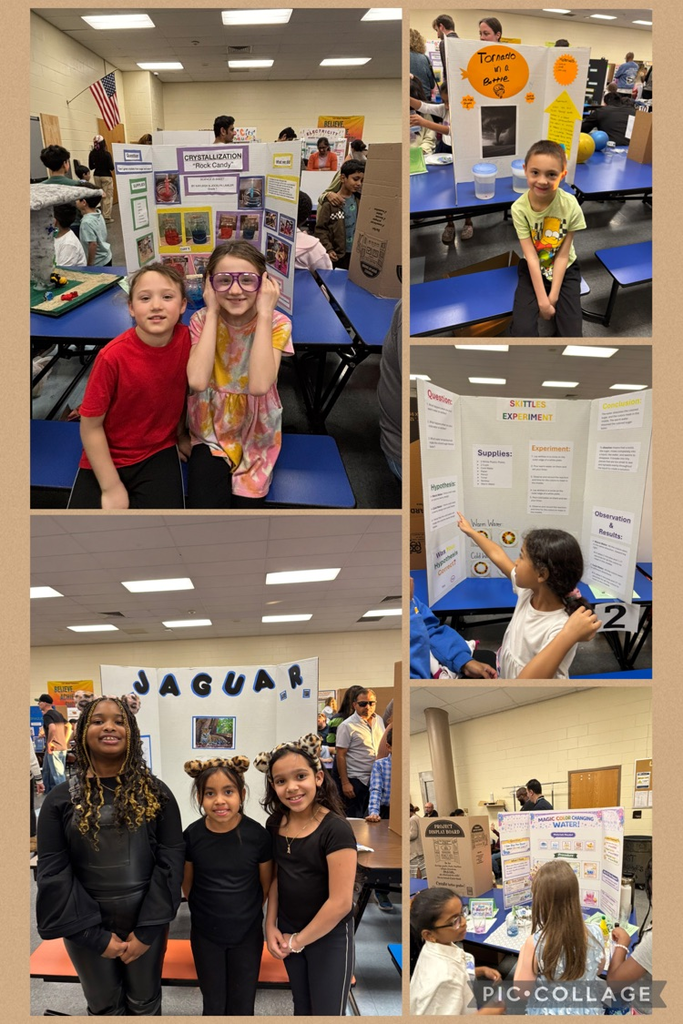 Students presenting science fair projects