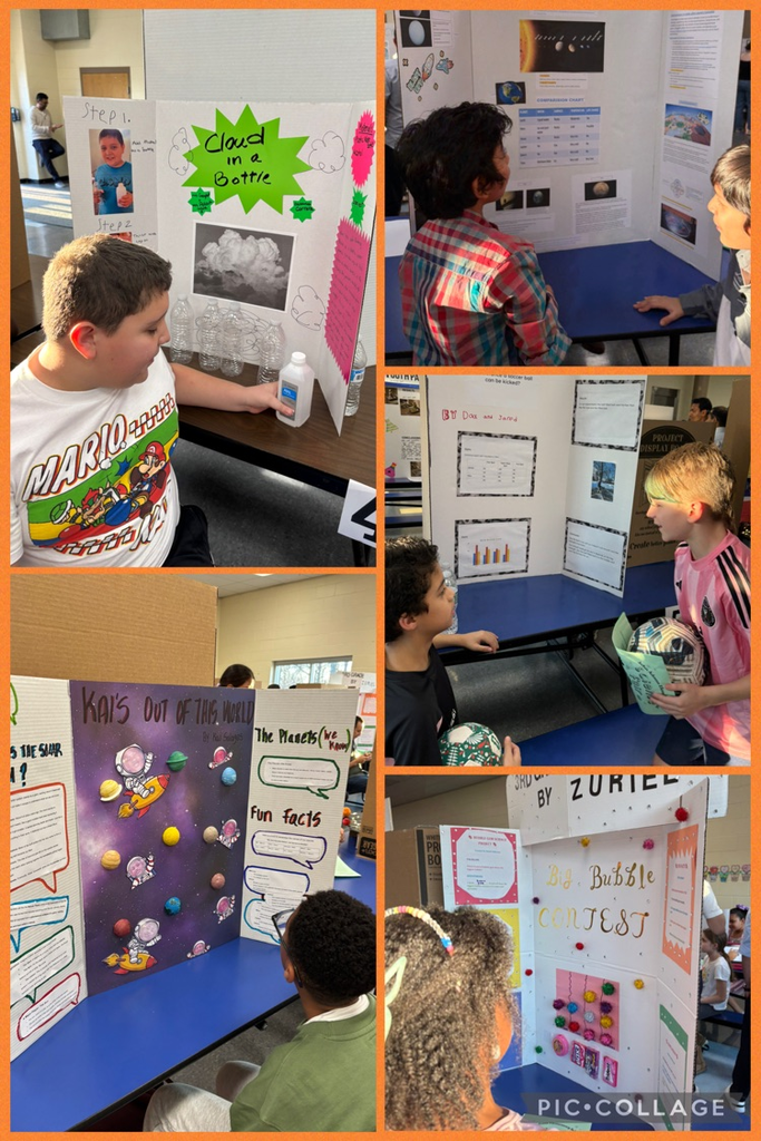 Students presenting science fair projects