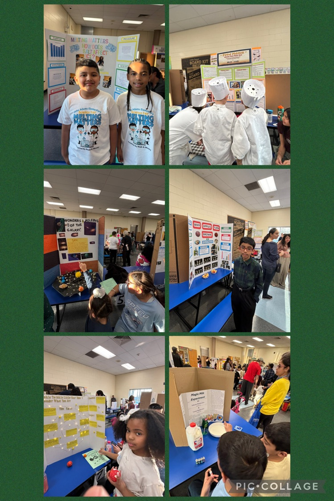 Students presenting science fair projects