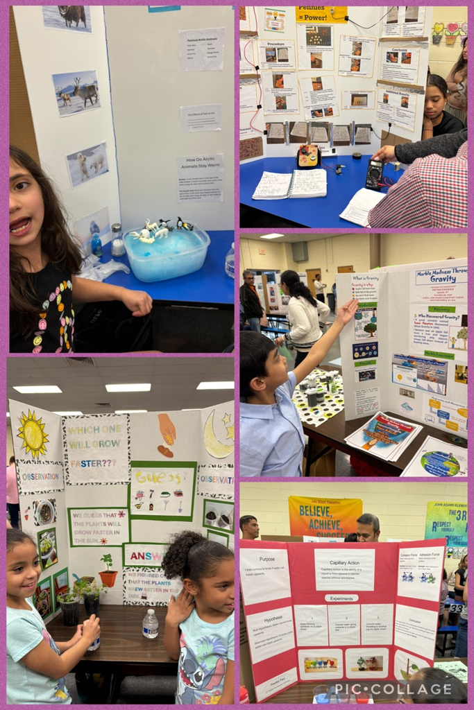 Students presenting science fair projects