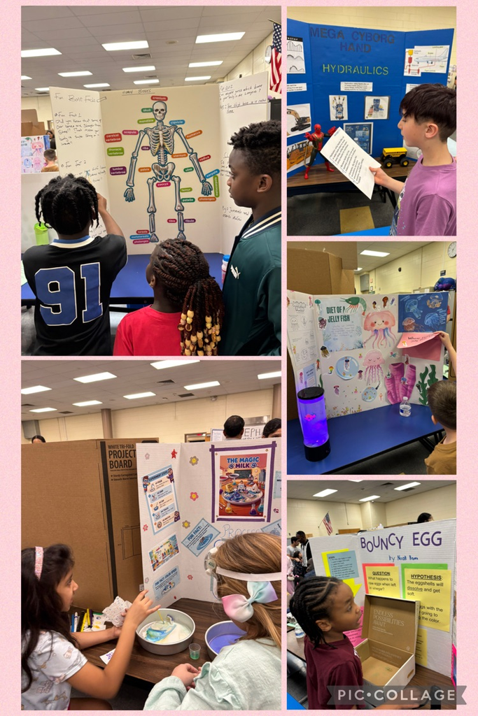 Students presenting science fair projects