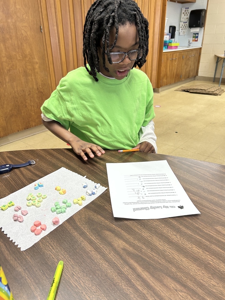 A student is separating different types of marshmallows.