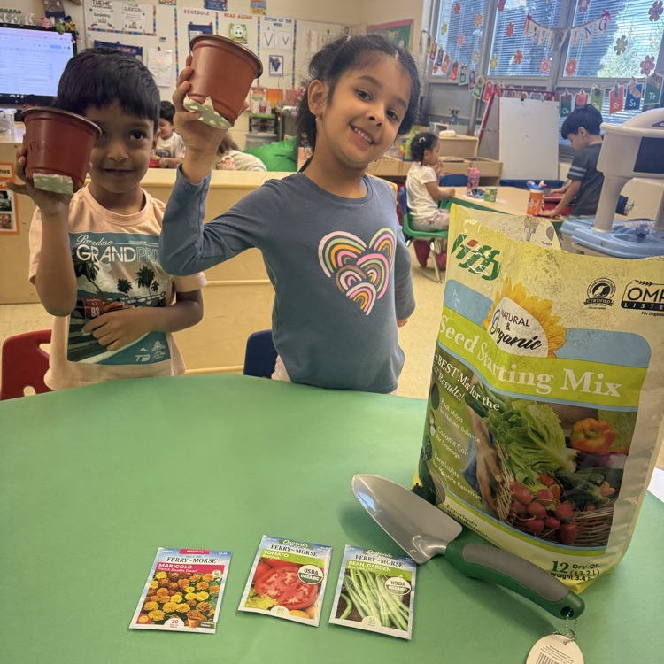 Students planting seeds