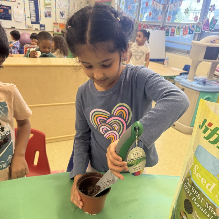 Students planting seeds