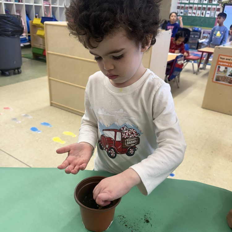  Student planting seeds