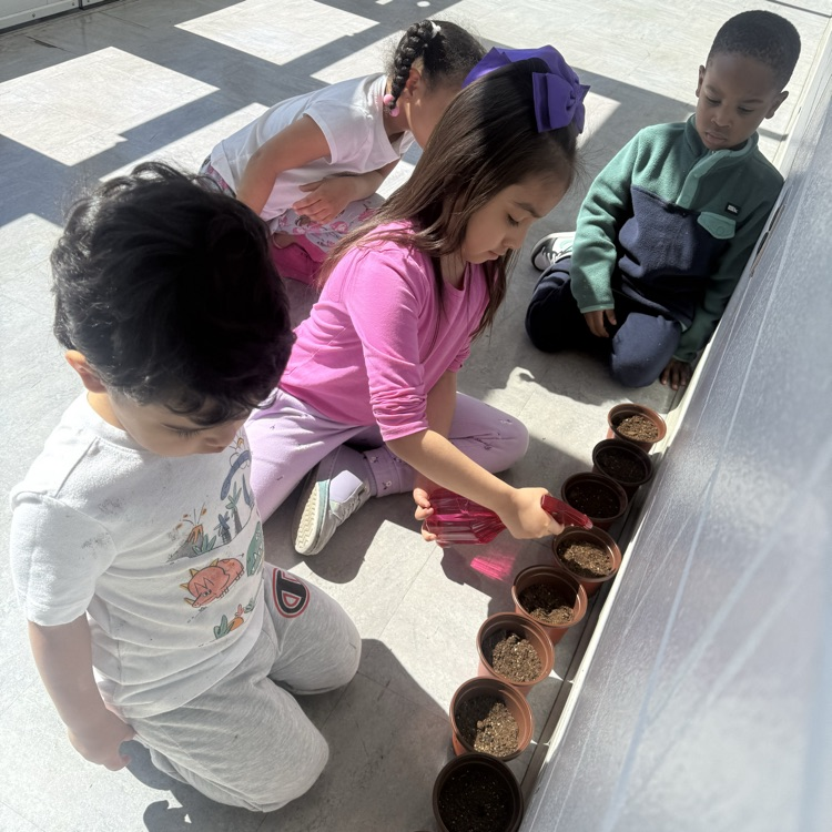 Students planting seeds