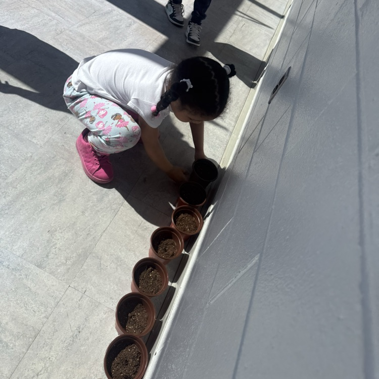  Students planting seeds