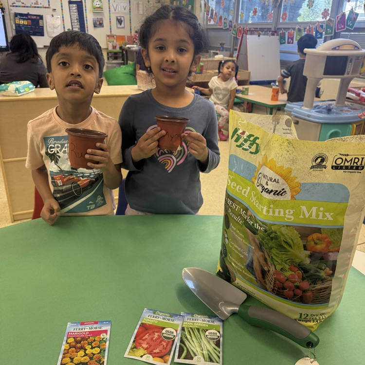 Students planting seeds