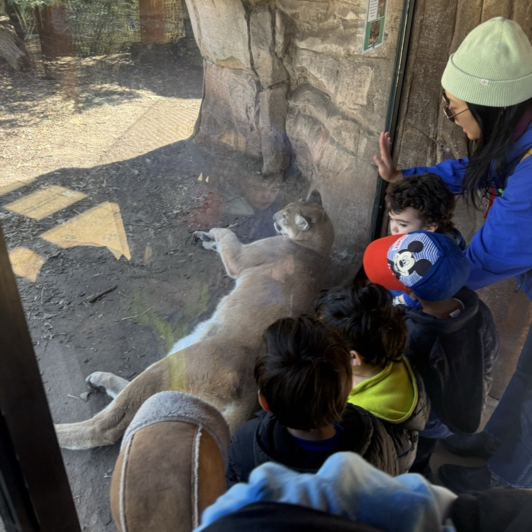 Students at Turtleback Zoo 