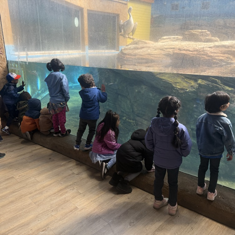 Students at Turtleback Zoo 