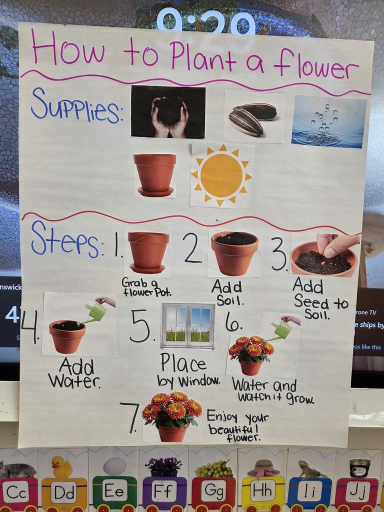 Poster on the plant cycle
