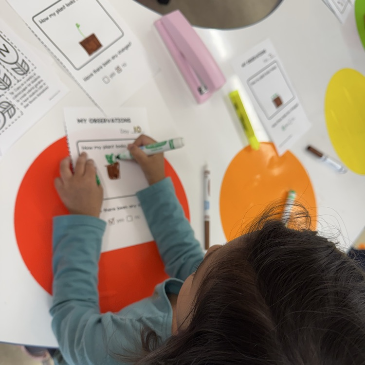 Students filling out a worksheet on plants