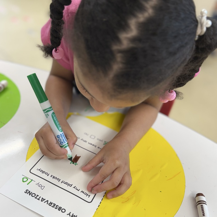 Students filling out a worksheet on plants