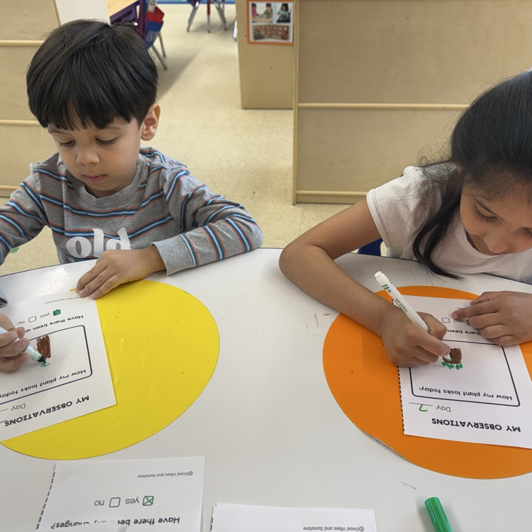 Students filling out a worksheet on plants