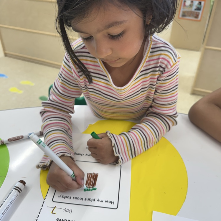 Students filling out a worksheet on plants