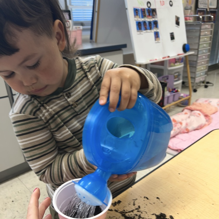 Young student watering a plant in a cup