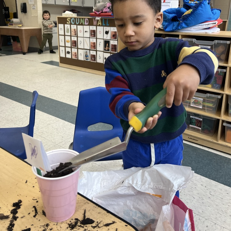 Young student shoveling a plant in a cup