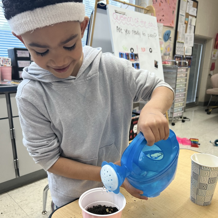 Young student watering a plant in a cup