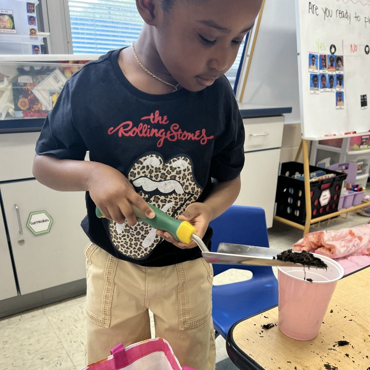 Young student shoveling a plant in a cup