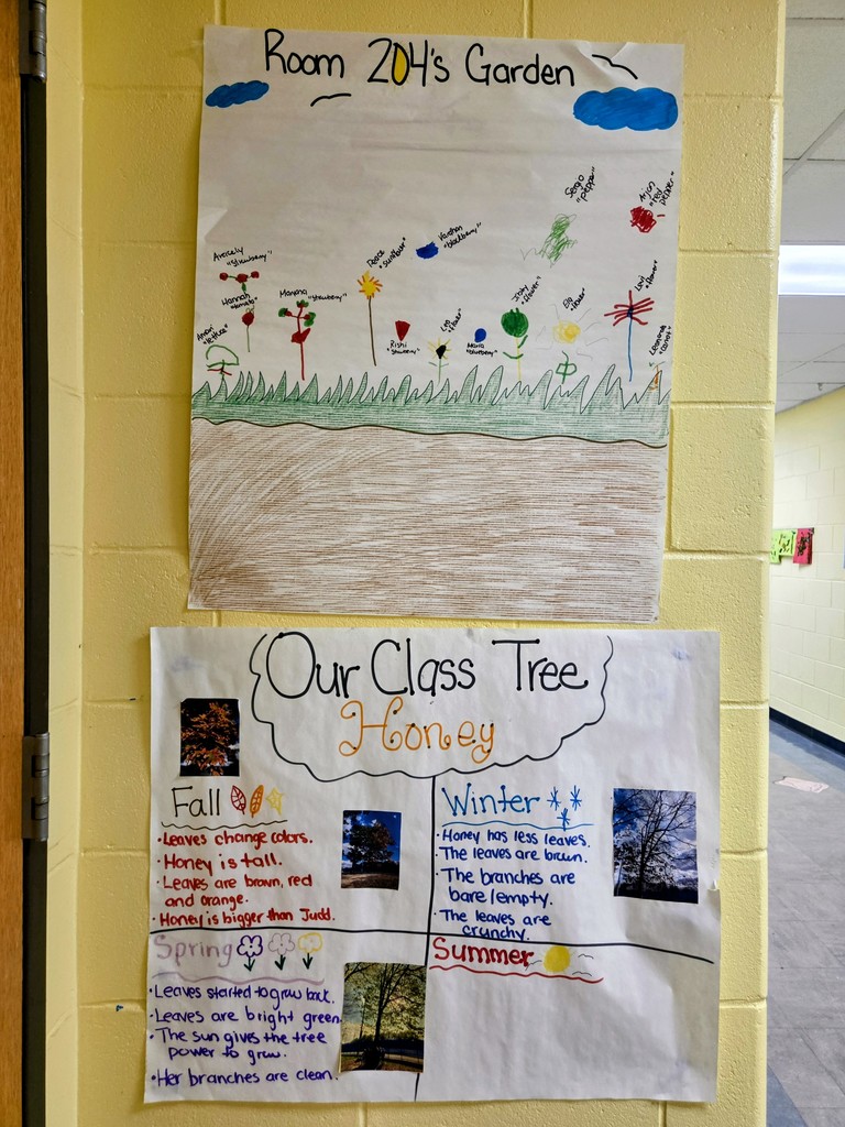 Chart with information about the tree cycle in the seasons