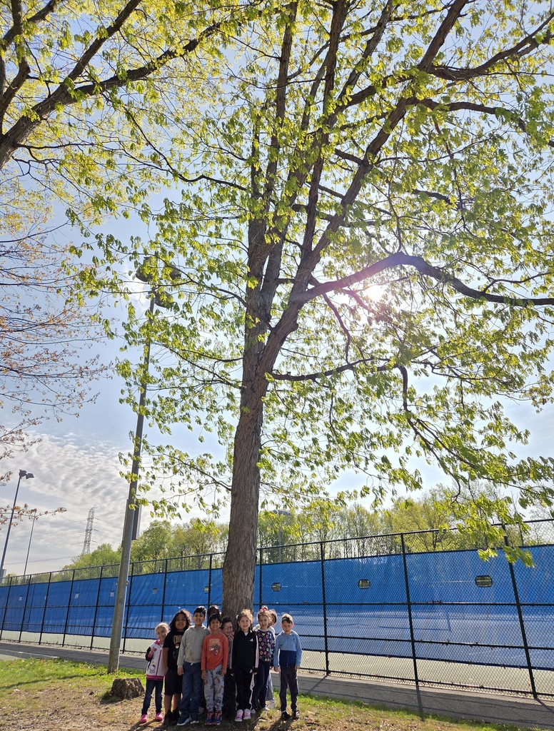 Students posing in front of tree