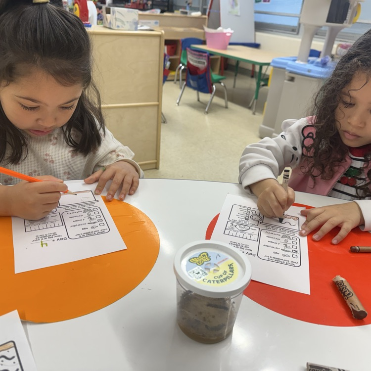 Student working on a life cycle worksheet