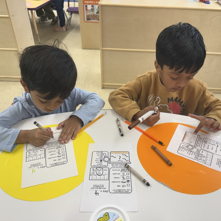 Student working on a life cycle worksheet