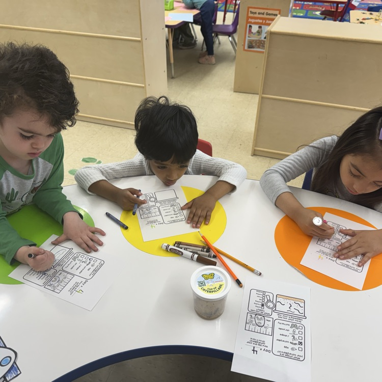 Student working on a life cycle worksheet