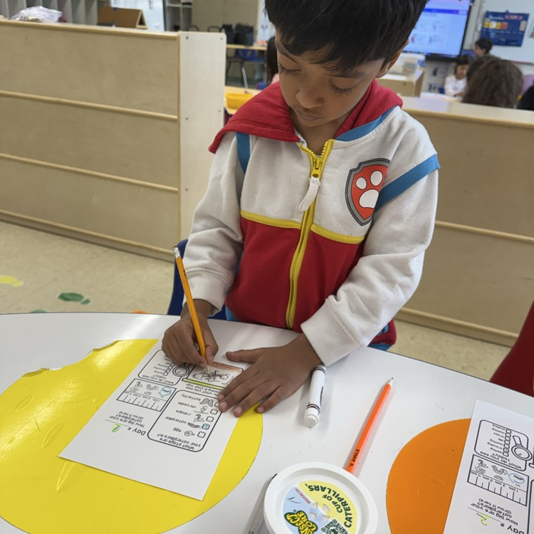 Student working on a life cycle worksheet
