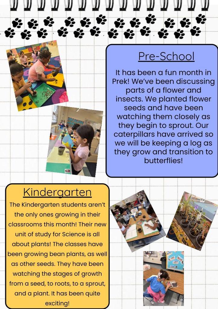 Judd Happenings April 