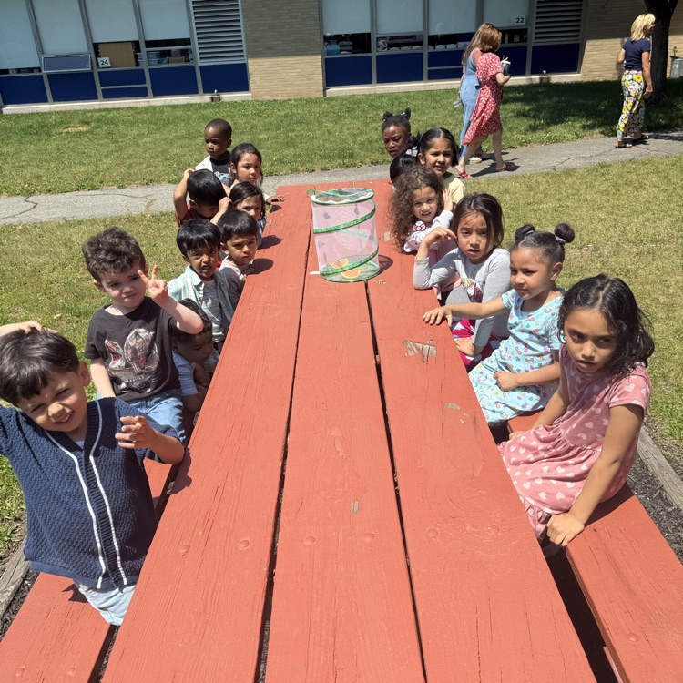 Students sitting at a picnic table with a butterfly net home
