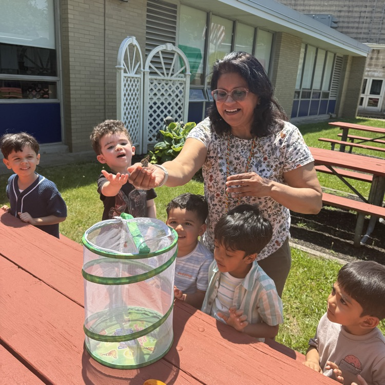 Students sitting at a picnic table with a butterfly net home