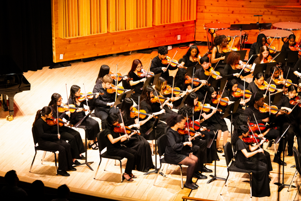 NBTHS Students at the CJMEA HS Honors Orchestra