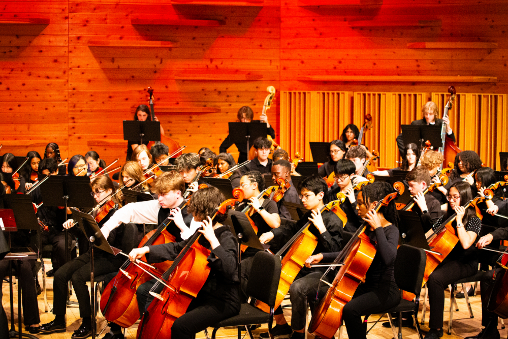 NBTHS Students at the CJMEA HS Honors Orchestra