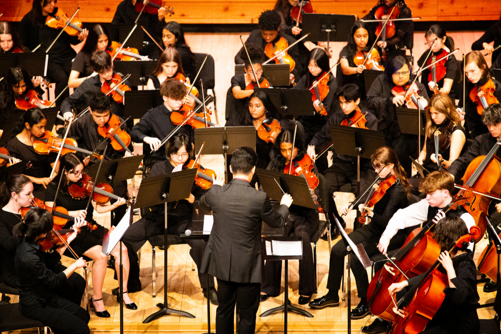 NBTHS Students at the CJMEA HS Honors Orchestra