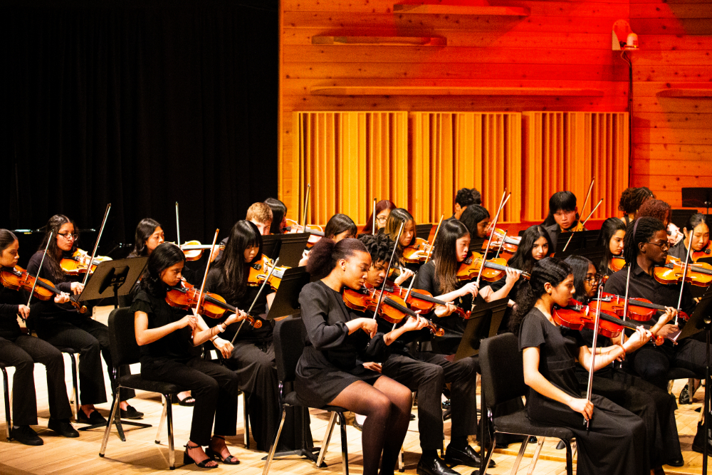 NBTHS Students at the CJMEA HS Honors Orchestra