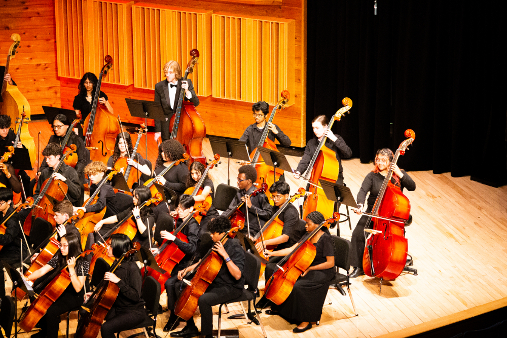 NBTHS Students at the CJMEA HS Honors Orchestra