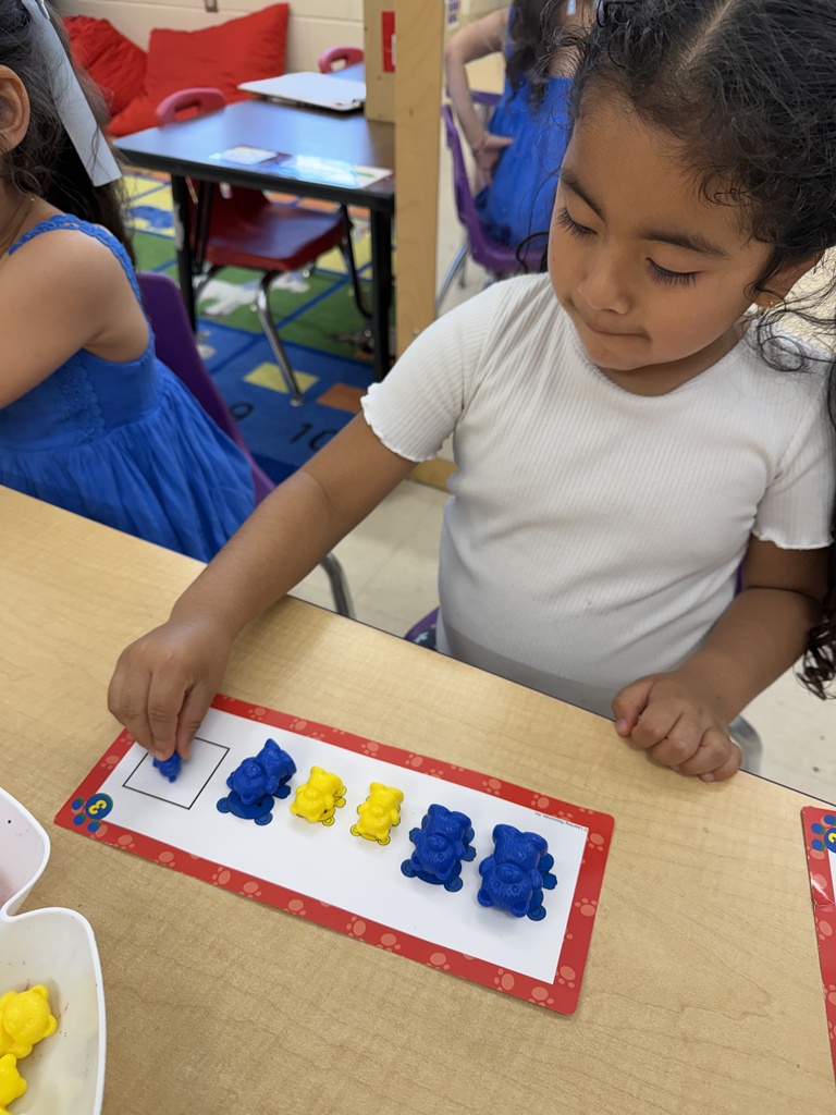 Students create patterns with bears. 
