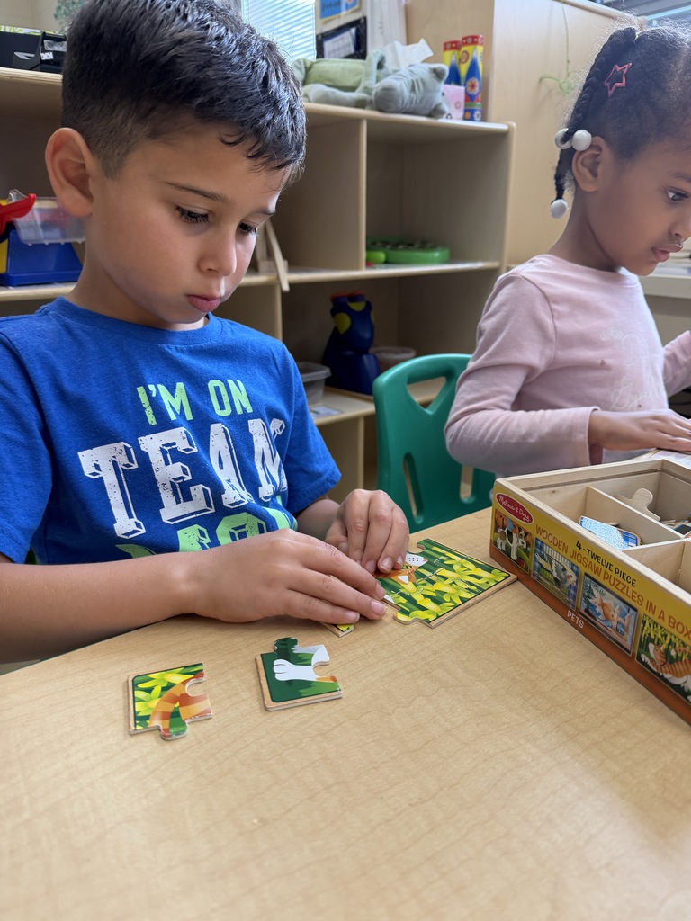 Students complete pet themed puzzles. 