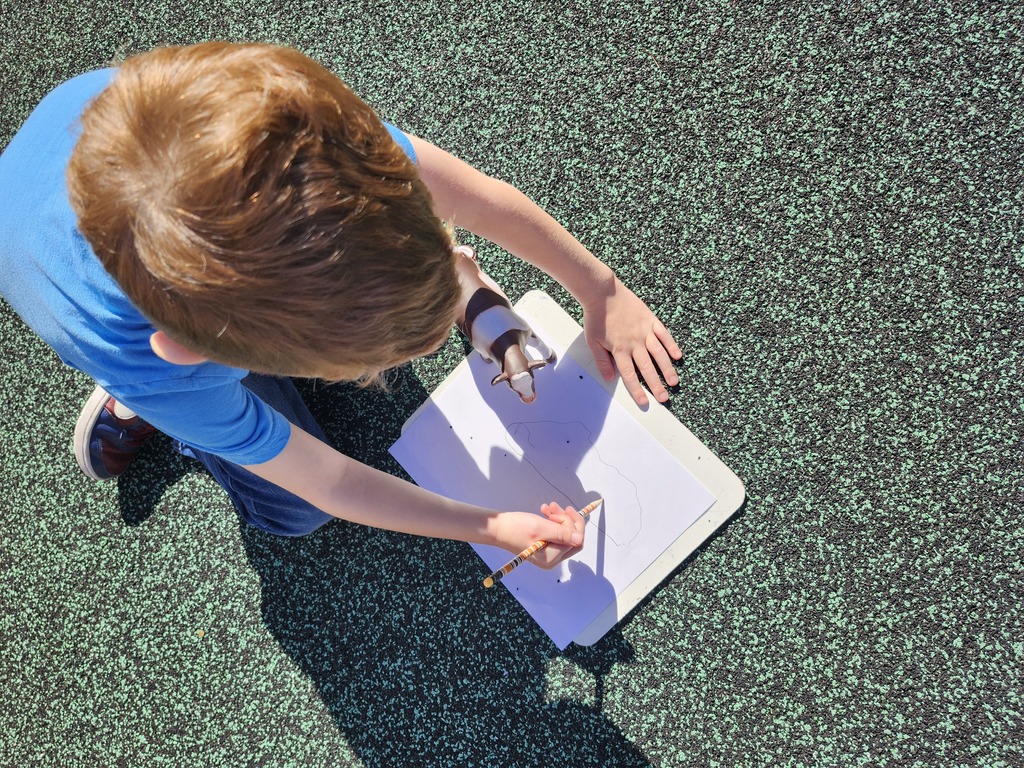 Students tracing shadows of animals on paper