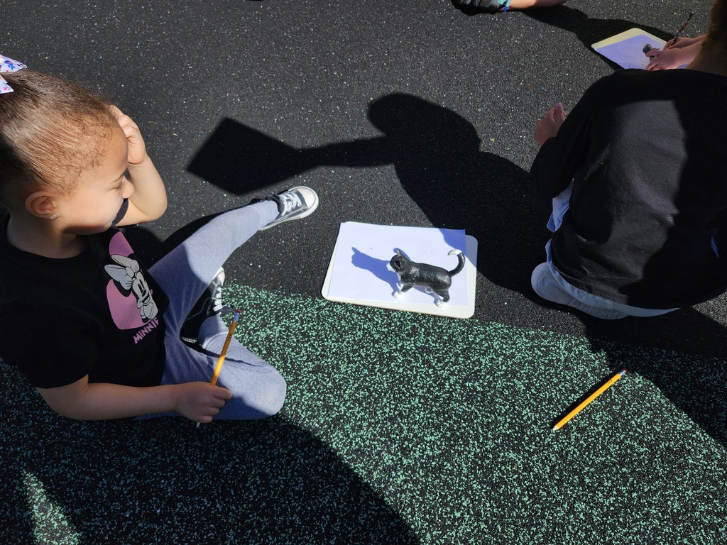 Students tracing shadows of animals on paper