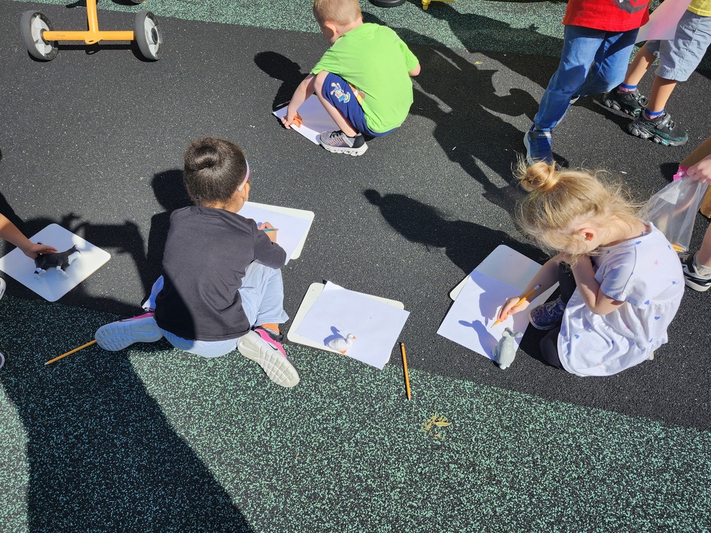 Students tracing shadows of animals on paper