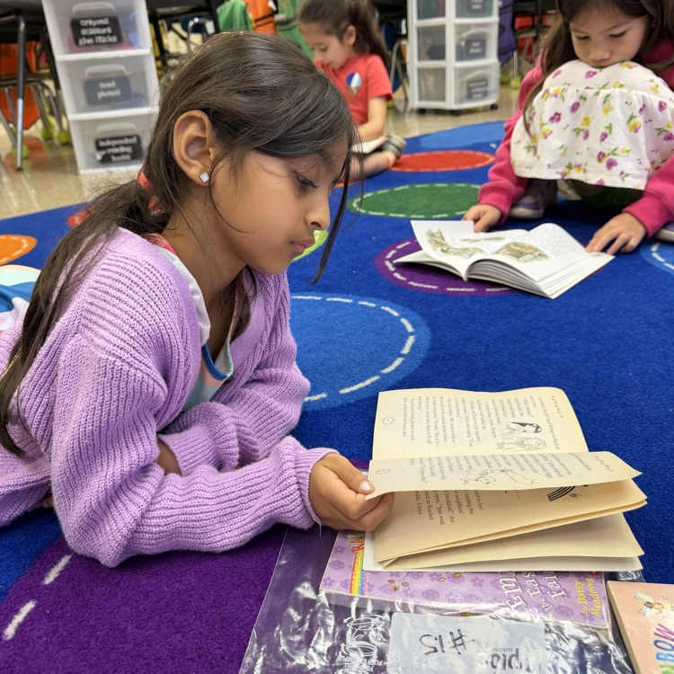 students doing independent reading 
