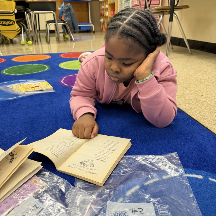 students doing independent reading 