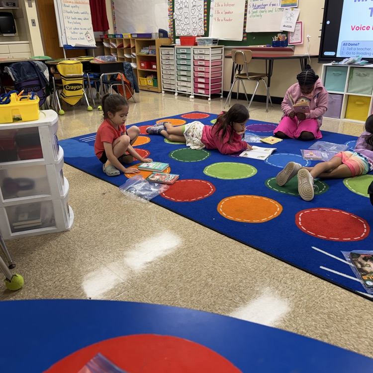 students doing independent reading 