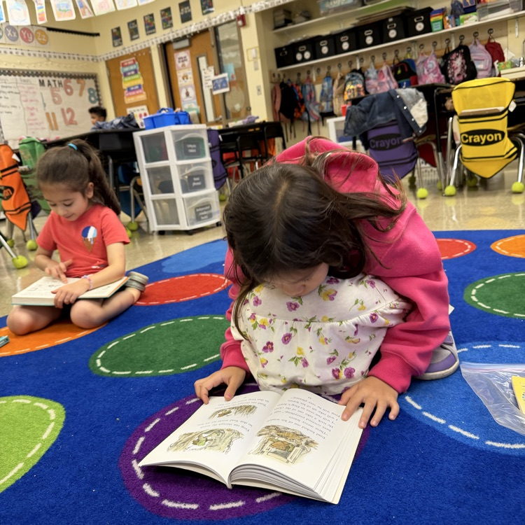 students doing independent reading 