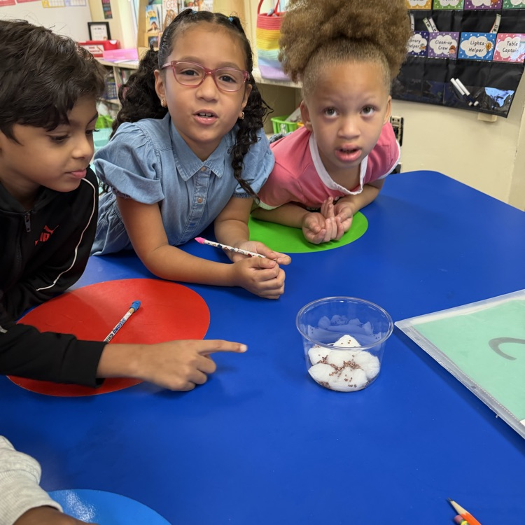students observing their experiment 